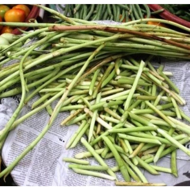 Sunsulag/sulur keladi