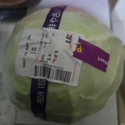 Test - Sayur Kubis